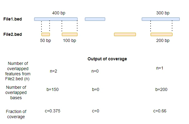 bedtools coverage