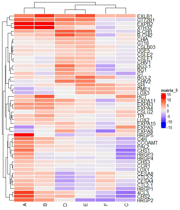 Change borders of heatmap with ComplexHeatmap