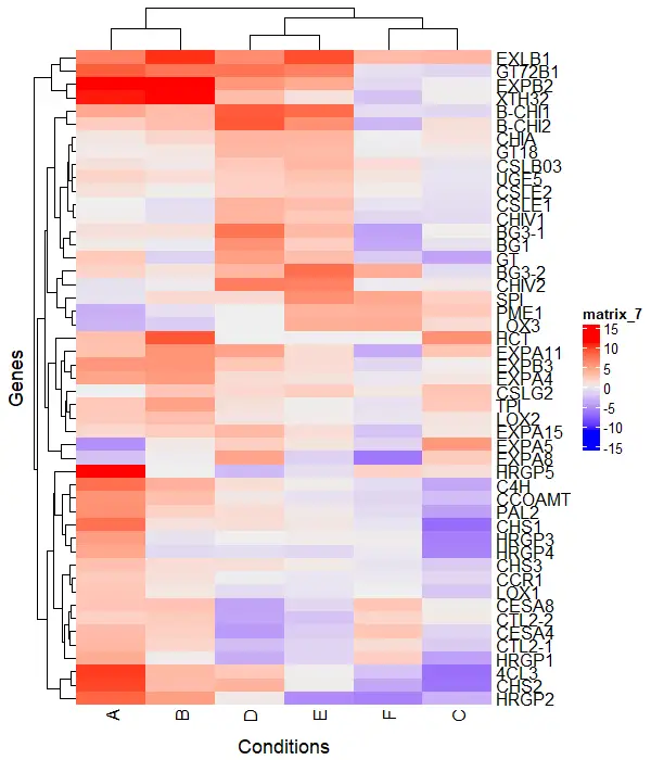 add titles to heatmap with ComplexHeatmap