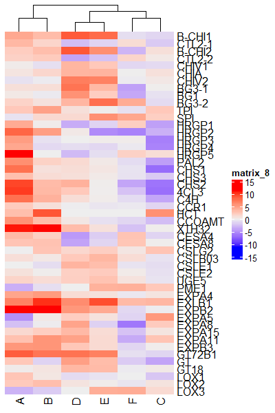 ComplexHeatmap with no row clustering