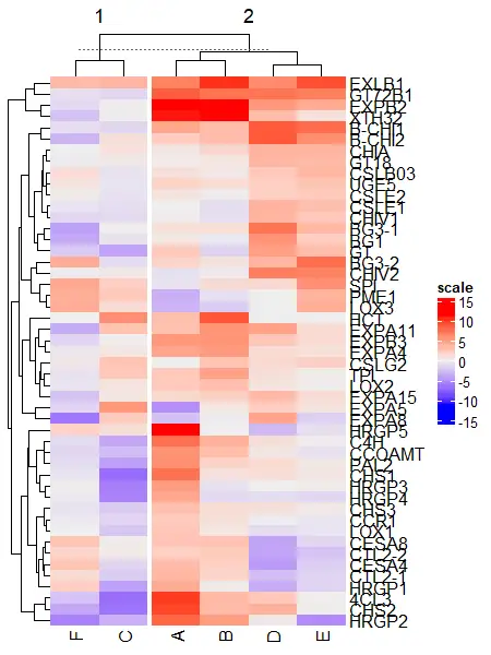 split heatmap by column in  ComplexHeatmap