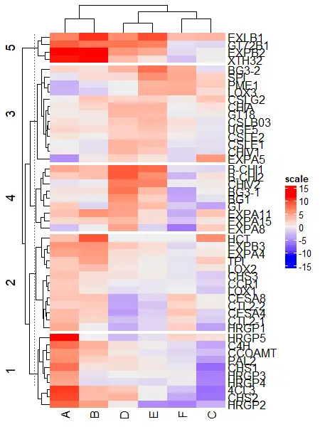 split heatmap by row in  ComplexHeatmap