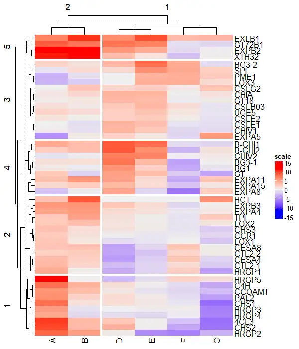 split heatmap by row and column in  ComplexHeatmap