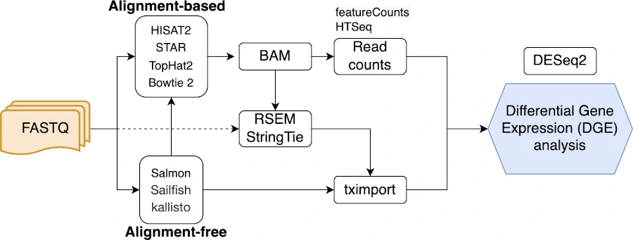 DESeq2 workflow