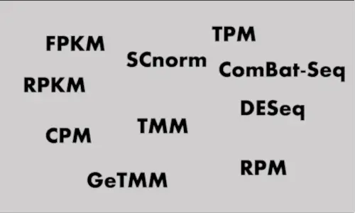 RPM and CPM explained 