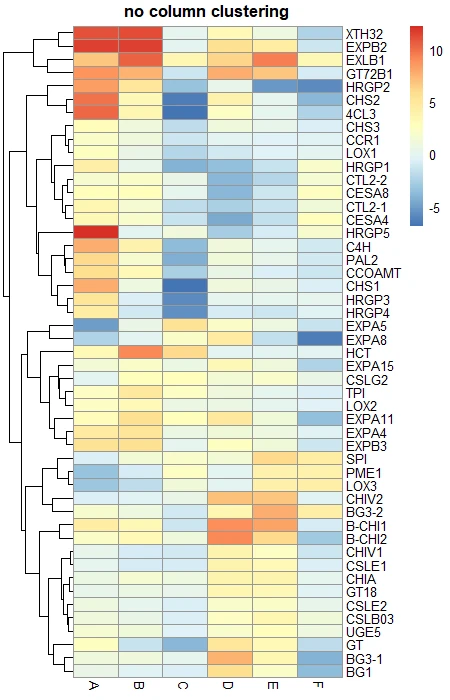 pheatmap column
clustering