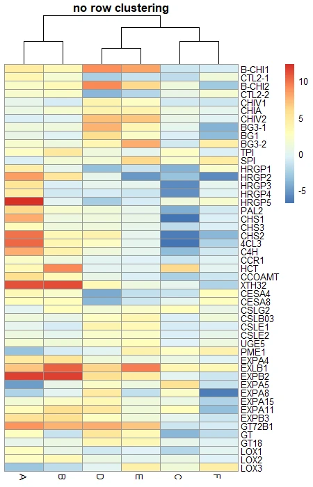 pheatmap row
clustering