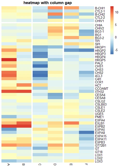 pheatmap 
with row and column gaps