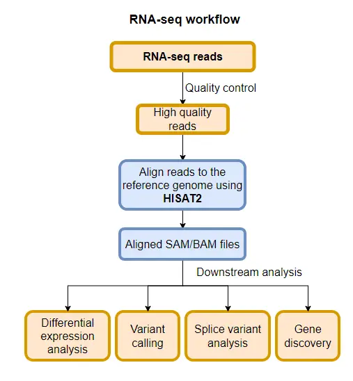 HISAT2 alignment workflow