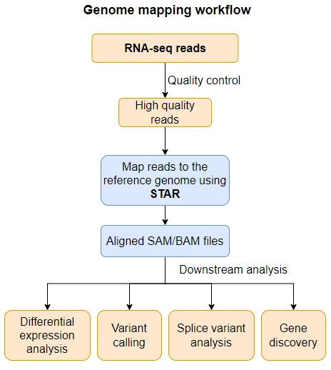 STAR mapping workflow