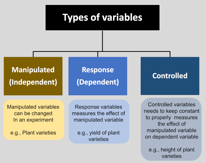 types of variables