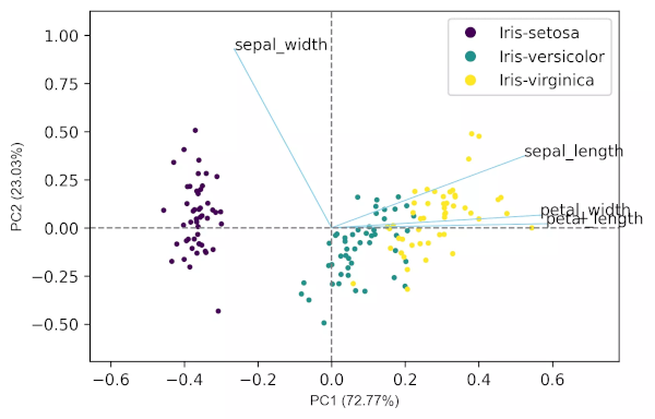 PCA iris biplot