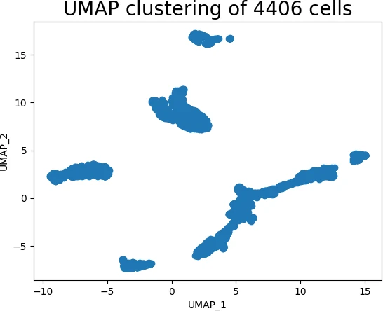 UMAP cluster plot