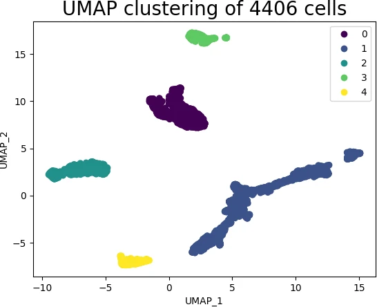 scRNA-seq UMAP plot with recognized clusters and colors